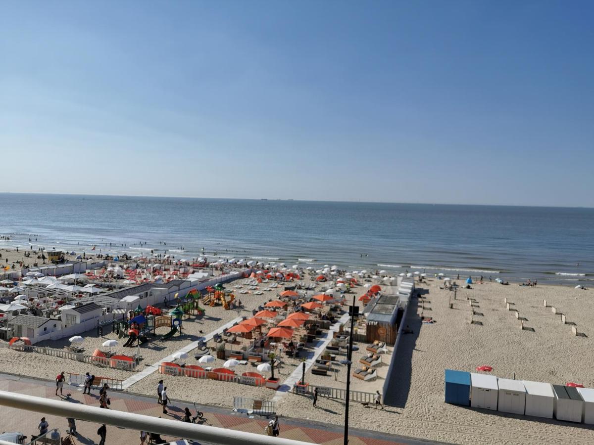 Studionusi Blankenberge Luaran gambar