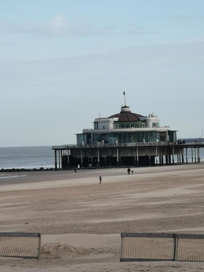 Studionusi Blankenberge Luaran gambar