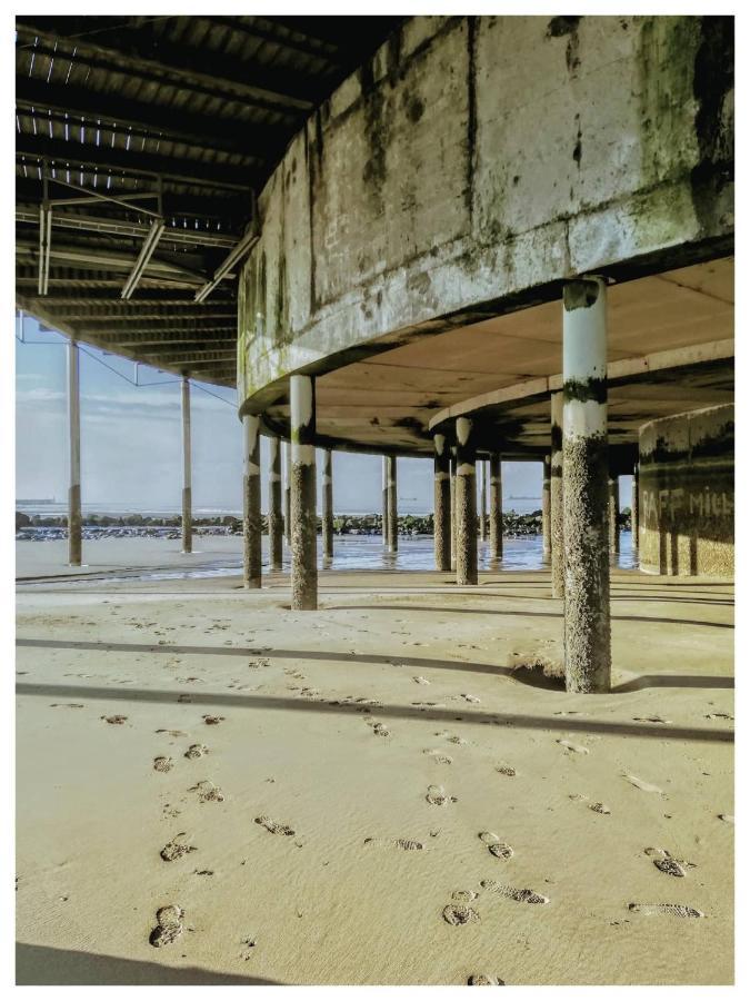 Studionusi Blankenberge Luaran gambar