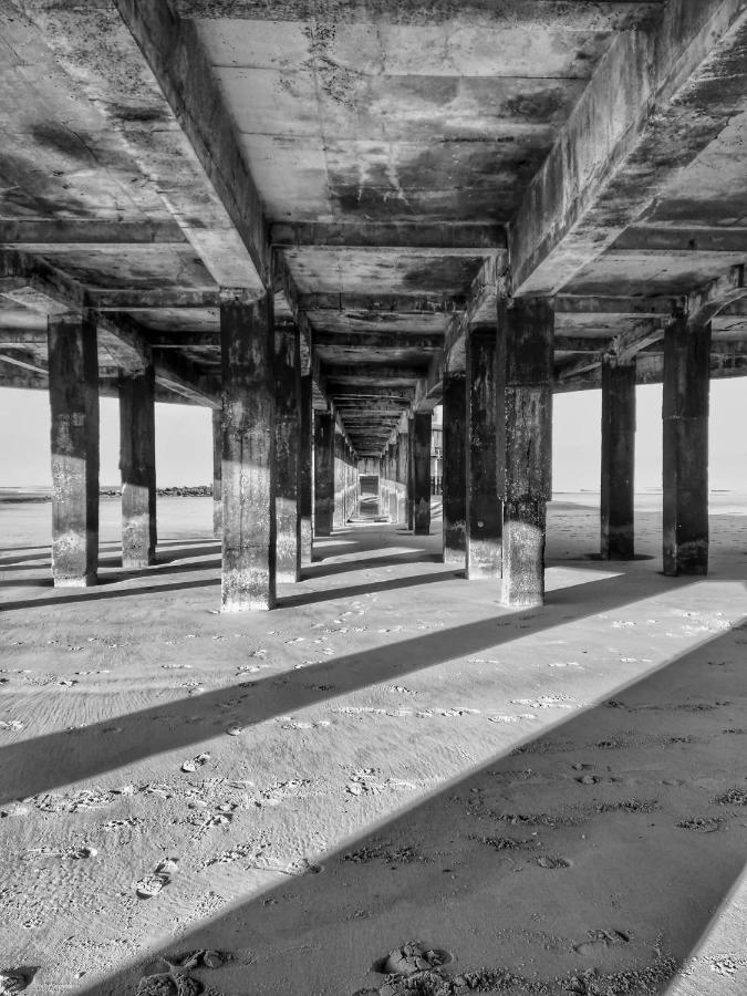 Studionusi Blankenberge Luaran gambar