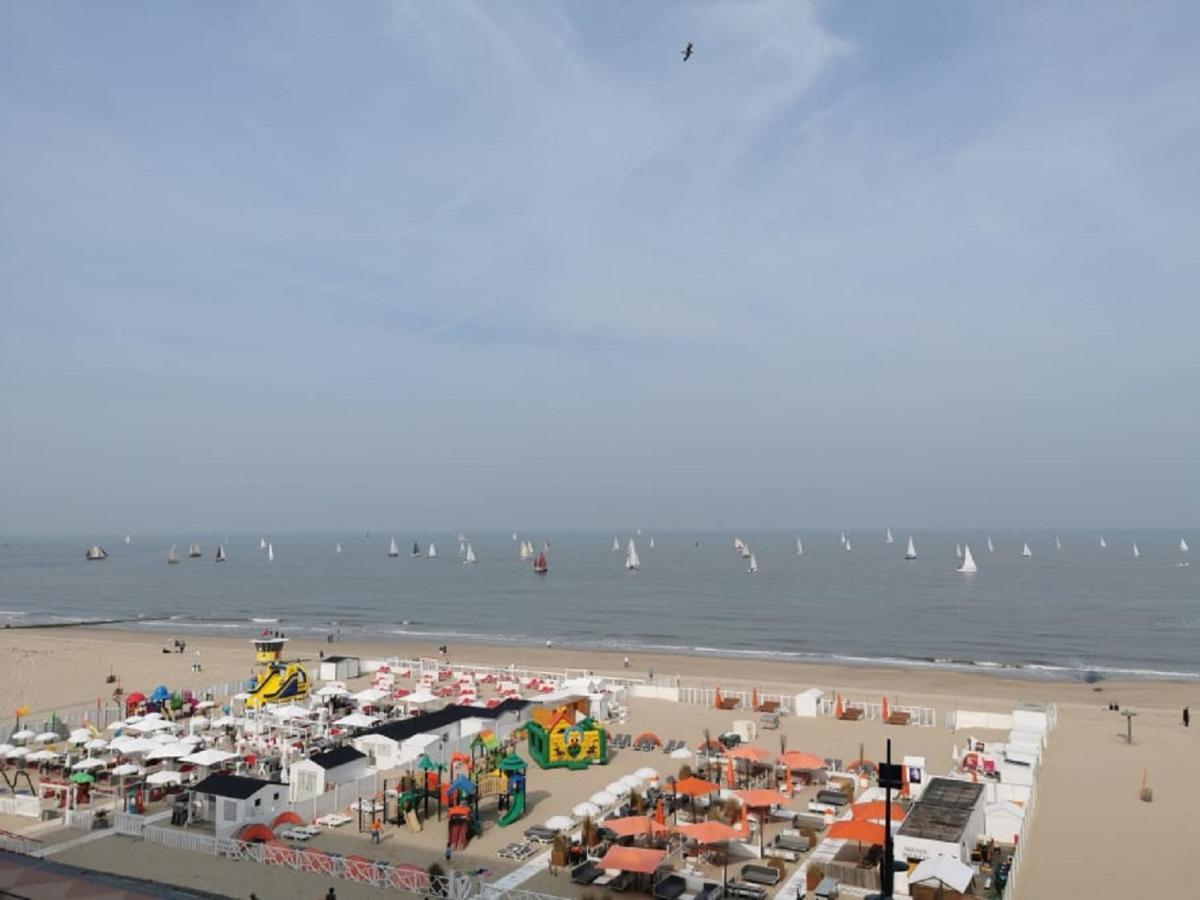 Studionusi Blankenberge Luaran gambar