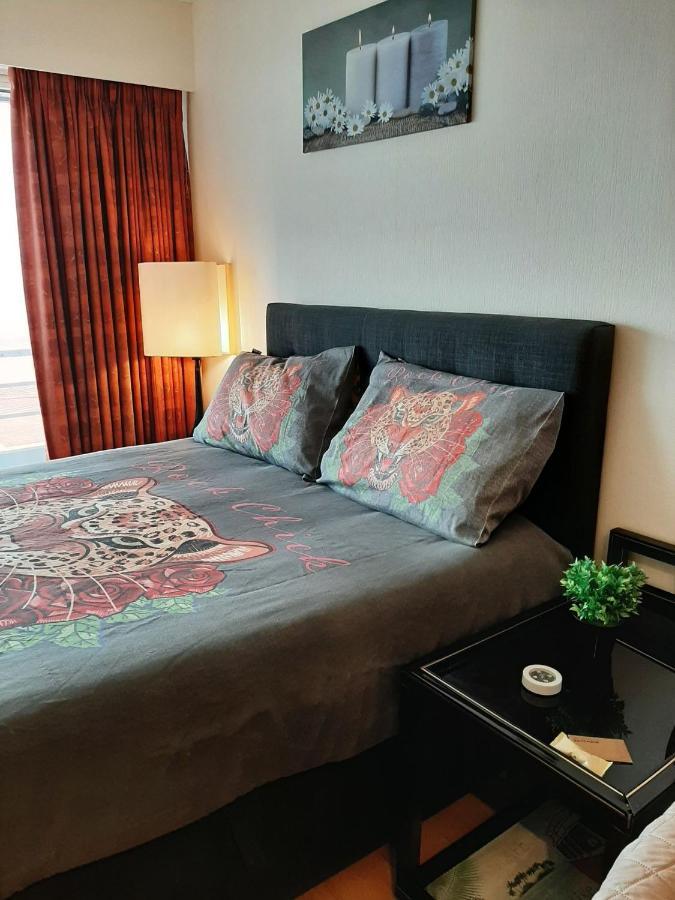 Studionusi Blankenberge Luaran gambar