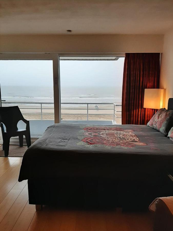 Studionusi Blankenberge Luaran gambar