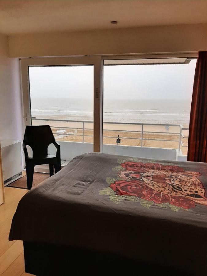 Studionusi Blankenberge Luaran gambar
