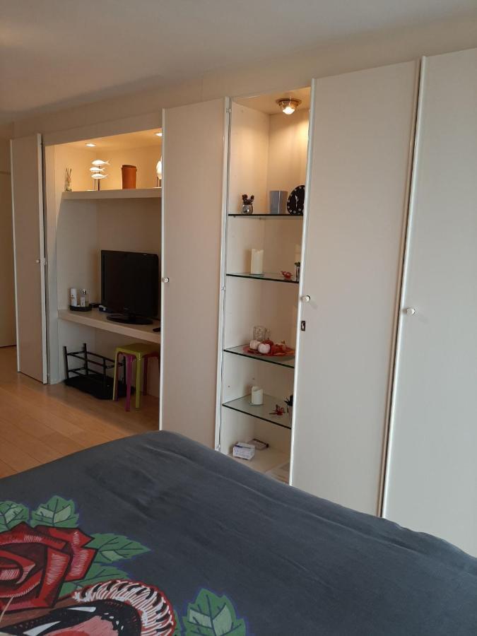 Studionusi Blankenberge Luaran gambar