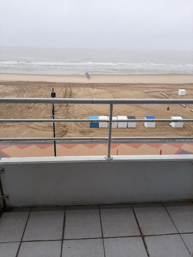 Studionusi Blankenberge Luaran gambar