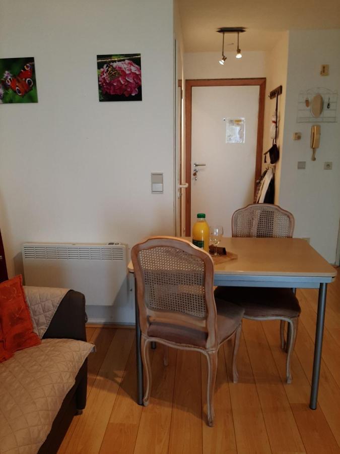 Studionusi Blankenberge Luaran gambar
