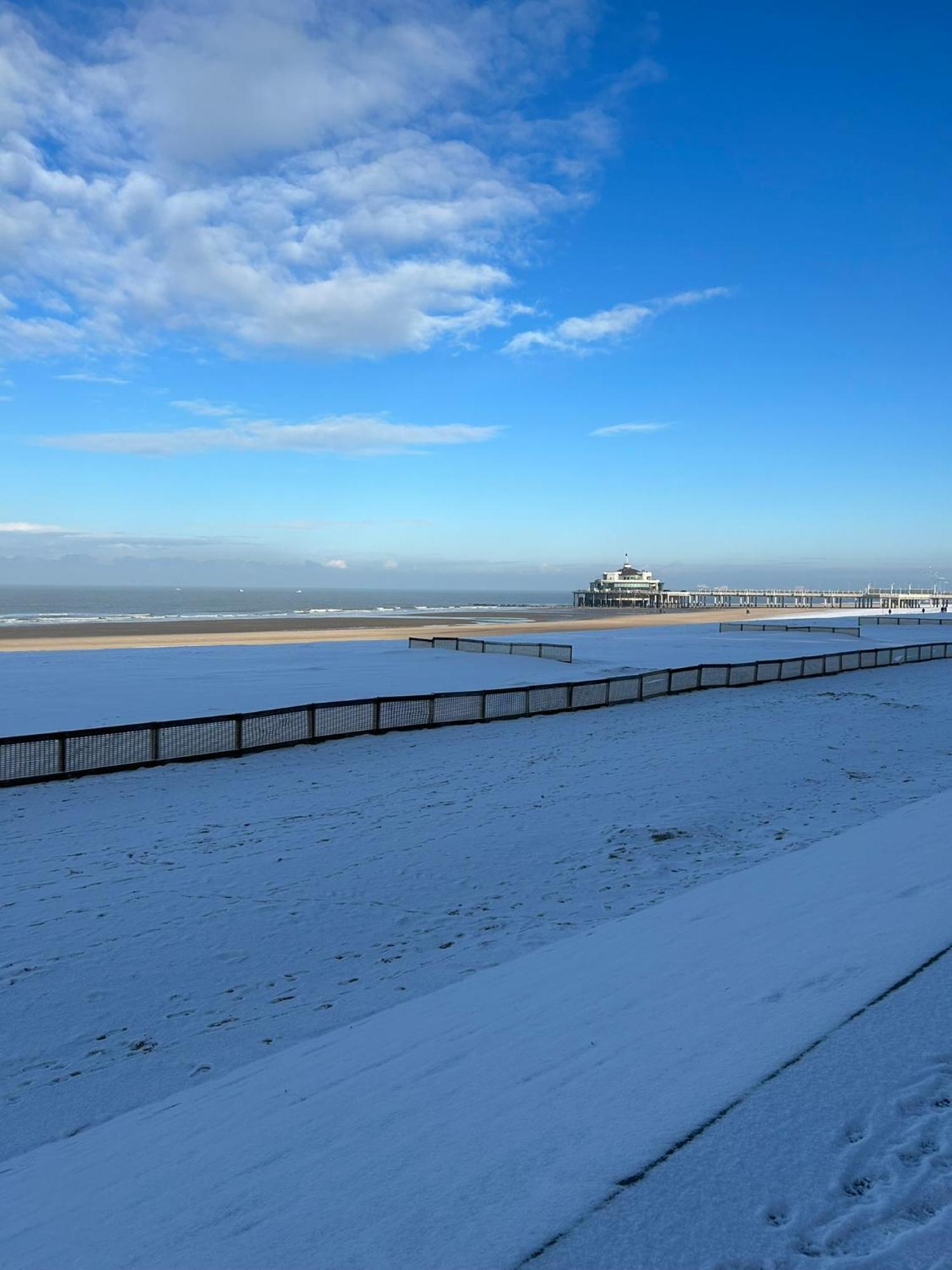 Studionusi Blankenberge Luaran gambar
