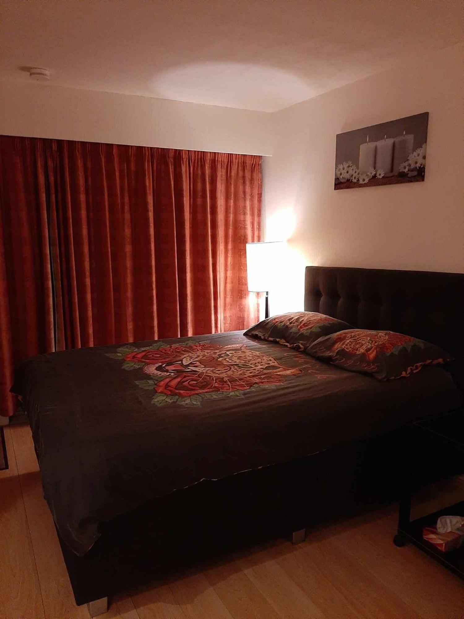 Studionusi Blankenberge Luaran gambar