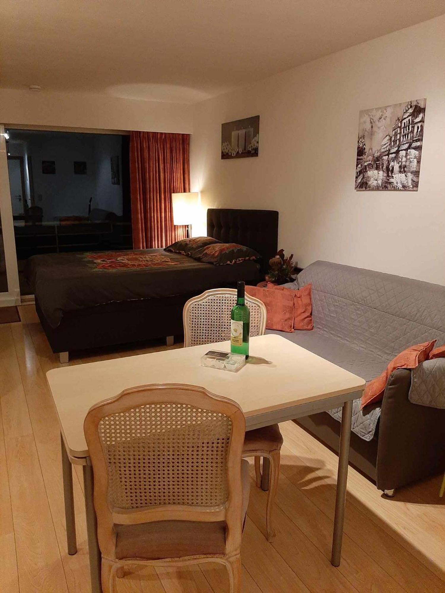 Studionusi Blankenberge Luaran gambar